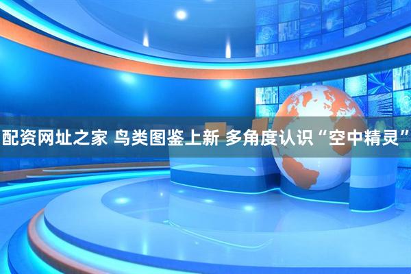 配资网址之家 鸟类图鉴上新 多角度认识“空中精灵”